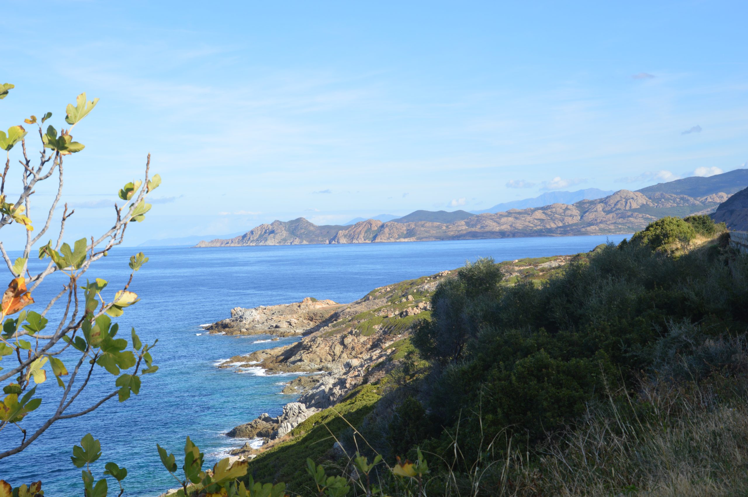 hautecorse balagne2